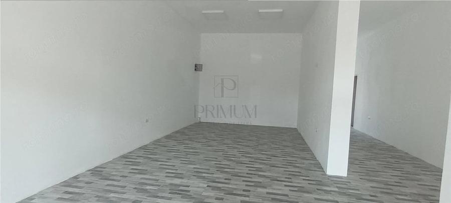 Spațiu comercial, de 130 mp, în Elisabetin