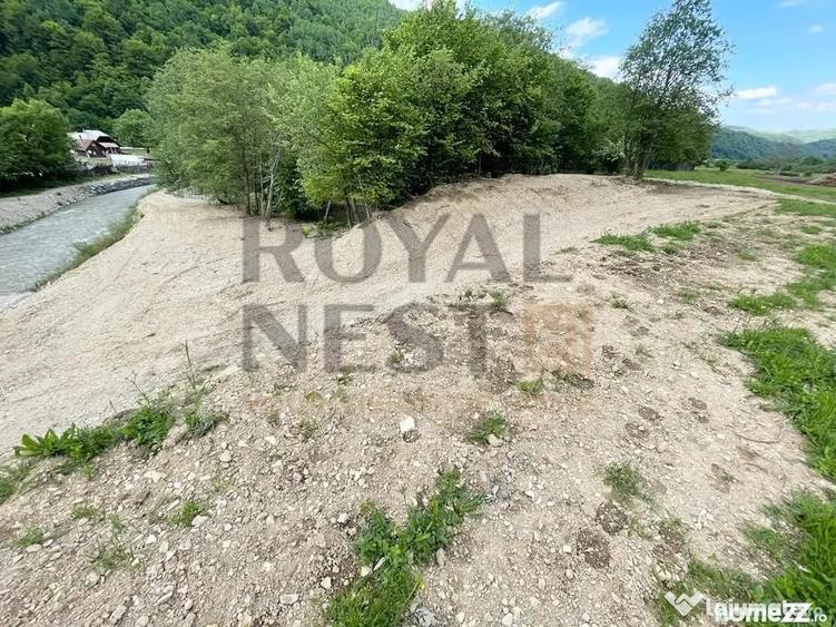 Teren de 12150 mp, în Plaiul Foii