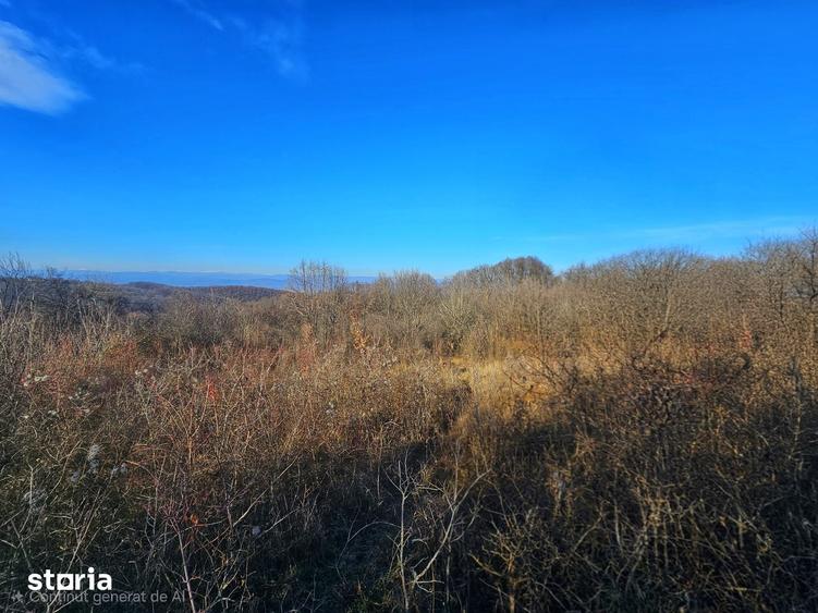 Teren intravilan 2.000 mp Seciu, 2 deschideri, Priveli?te panoramica - 1