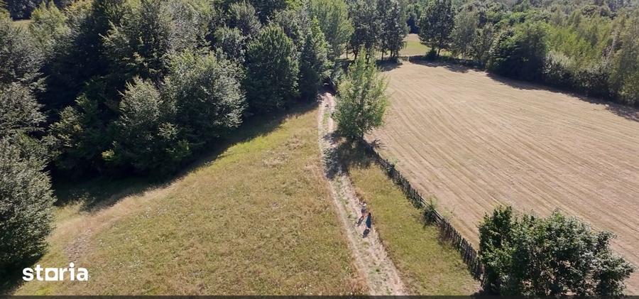 Teren de 5000 mp, în Șinca