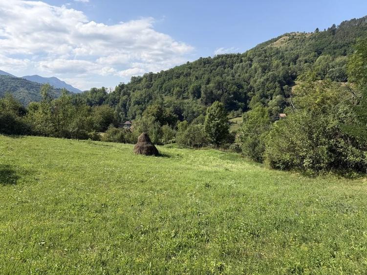 Teren intravilan 4.128 mp Ocolis Alba priveliste superba curent la proprietate - 3