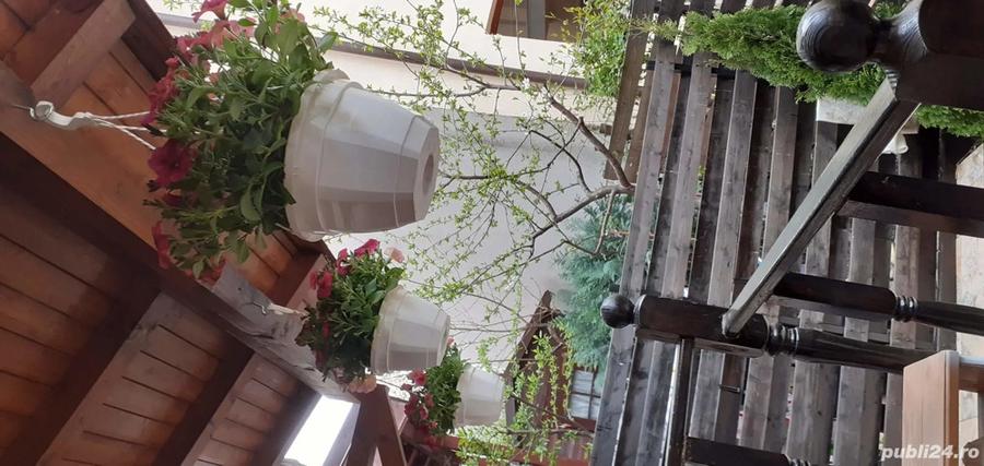 Studio cu gradina zona Aparatorii patriei - 3