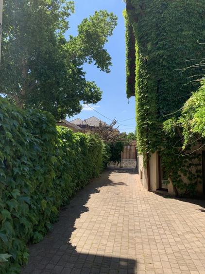 DE VANZARE Park Villa  Boutique  Hotel4*Zona istorica Timisoara - 10