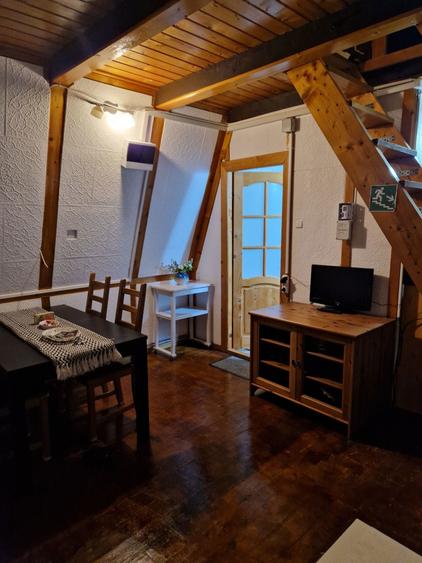 Sinaia cabana Inchirieri - 2
