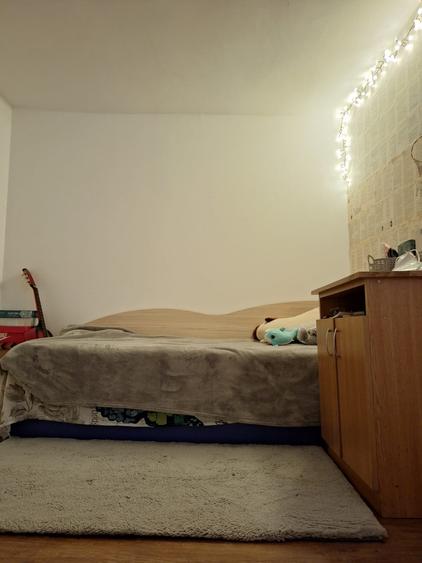 Chitila Casa Individuala 4 Camere - 5