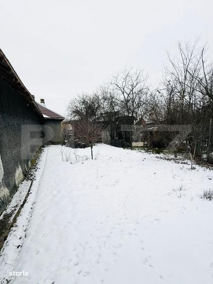 Refugiu la tara: casa traditionala , teren generos, si intimitate Cos - 1