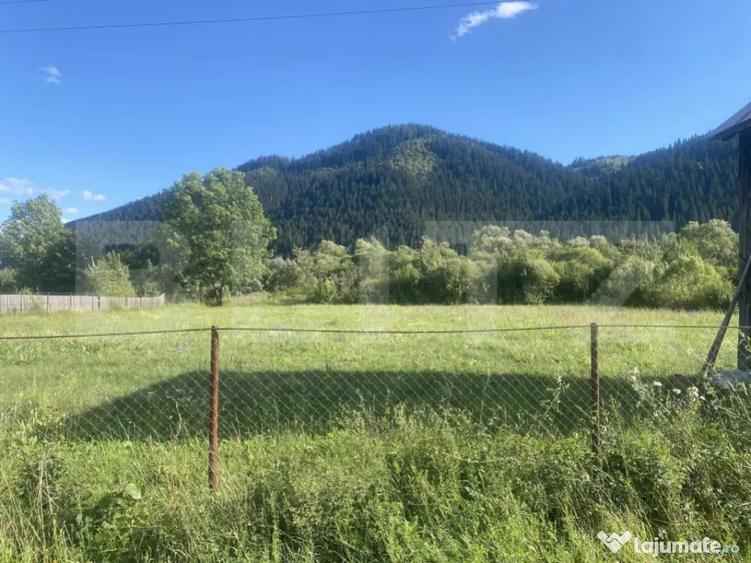 Teren de vanzare in Sadova, 900 mp - 1