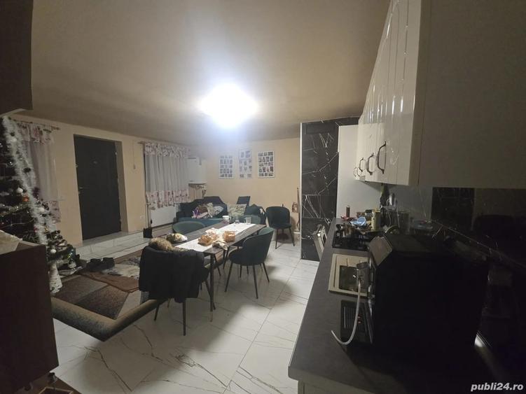 Casa de vanzare in Sat Saceni. - 3