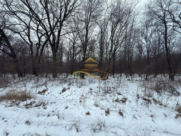 Teren extravilan - Padure de vanzare in Beresti Bistrita - 1