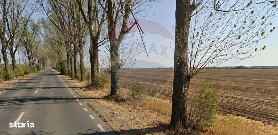 Teren industrial 7.9 ha, Afumati, deschidere 120m, Soseaua Stefanesti - 4