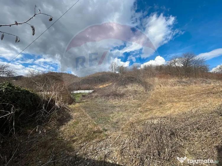 Teren 2,868mp /case/ duplexuri /Baia Mare / Strada Sanata... - 6