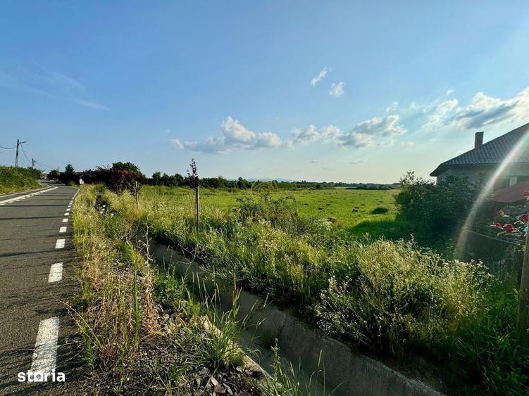 Oferta! Teren Intravilan Seini 5250MP - 1