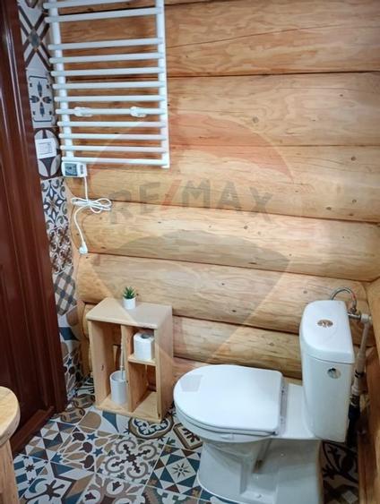 Proprietate cu Potential Triplu..LOCUINTA,INVESTITIE,TURISM!! - 27