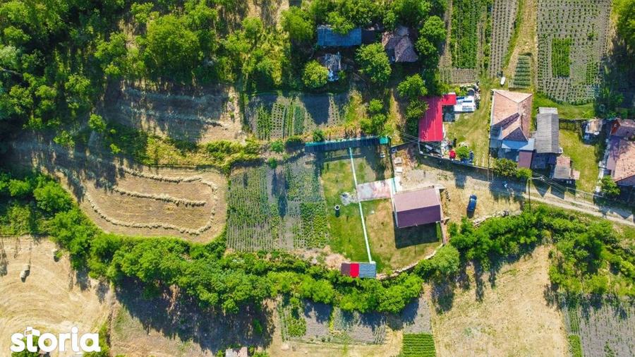 Casa cu teren de 3100 mp de vanzare in comuna Cornesti - 10