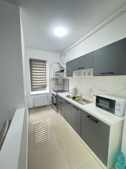 Apartament 2 camere,mobilat si utilat-Ilie Petre 88 - 6