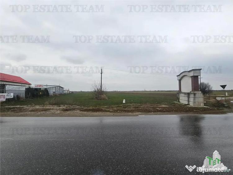 Teren comercial 7169mp la baza nod km35 pe A1 - 8