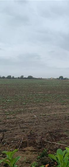 Tunari Libao Vanzare  teren intravilan suprafata  22509mp - 3