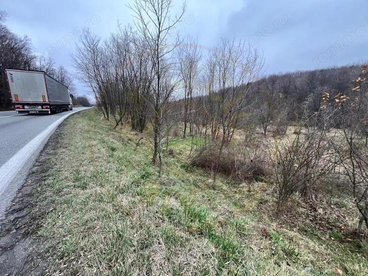 Teren intravilan 6.500 m2Deschidere 144 ml drum european E81, km 35, Moraresti - 2
