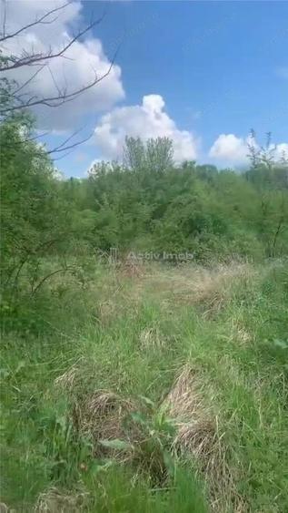 Teren intravilan 500 mp - Ganeasa - 4