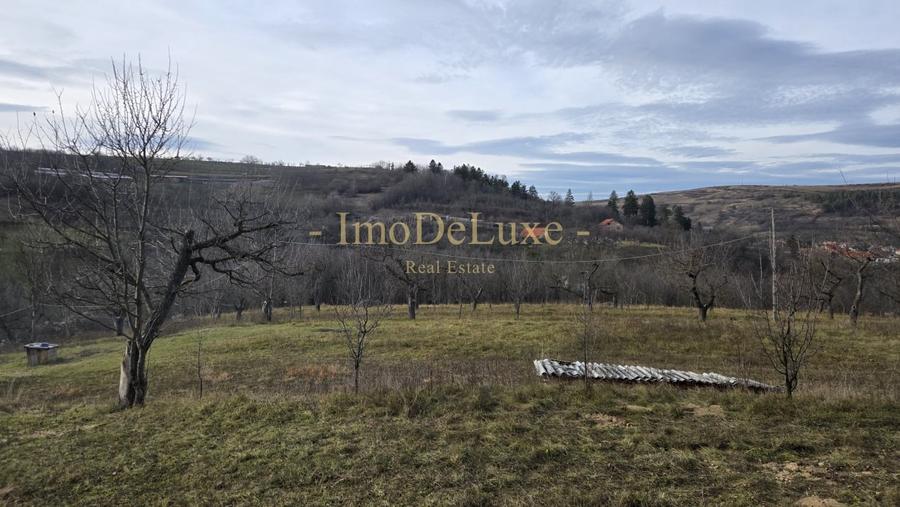 Teren intravilan, 6000mp, priveliste, comuna Baciu, zona Suceagu - 5