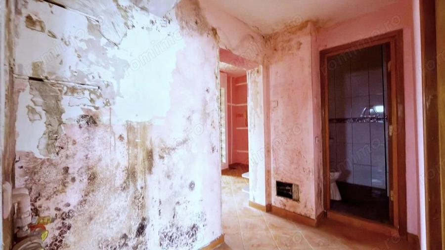 Apartament 3 camere Colentina Doamna Ghica - 5