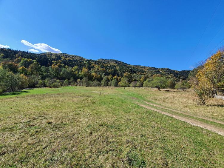 Teren Sacele Bradet 8euro/mp pretabil investitie - 3