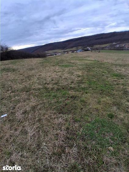 RECO Teren intravilan 5487 mp cu dublu front stradal-zona Betfia - 4