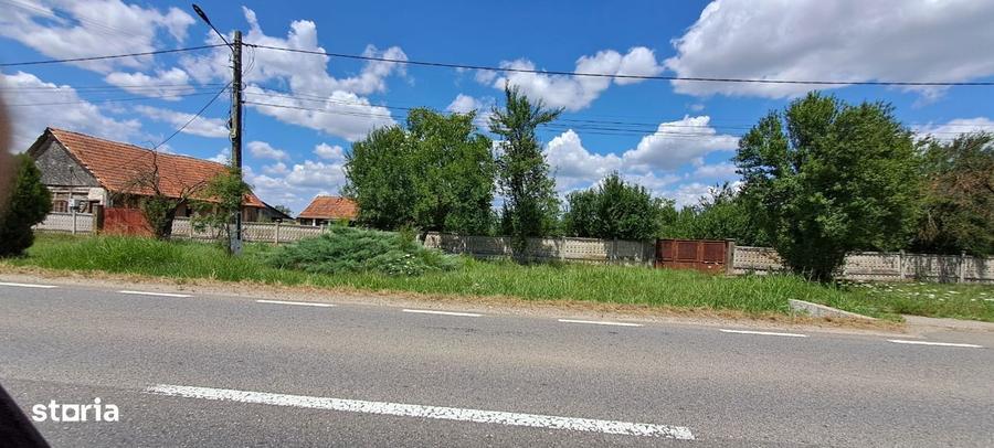Casa veche din 1955 si teren intravilan 6153 mp, Sinersig,Jud Timis - 6