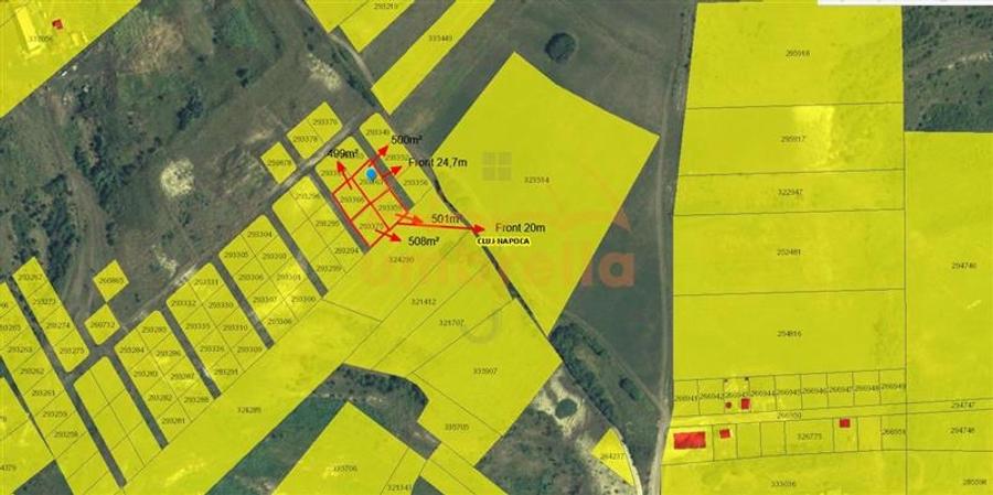 Teren de vanzare extravilan Valea Chintaului - 4