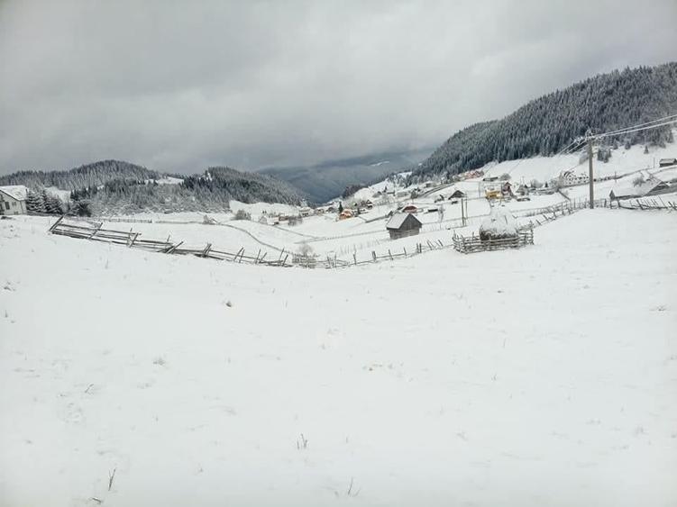 Teren Intravilan Fundata 1421Mp - 6