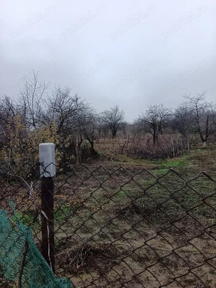 Vand casa Perieni - 6