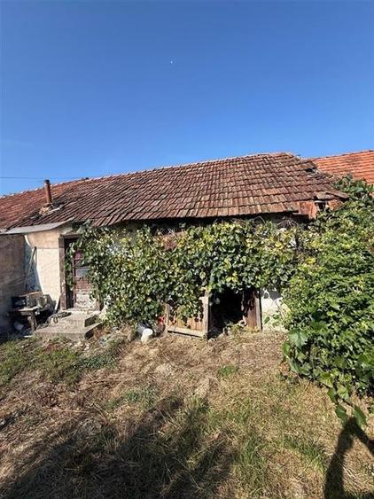 RECO . Casa in Saliste de Vascau . - 4