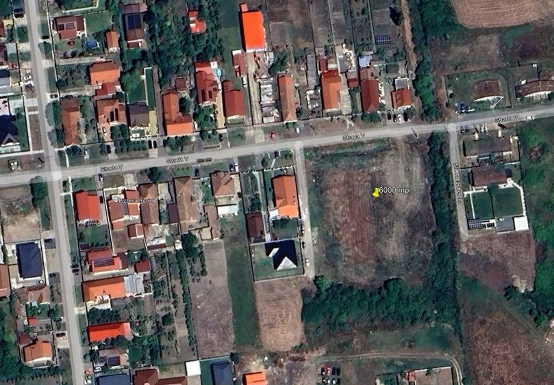 Ocazie! Teren 6.000 mp cu toate utilitățile – Săcălaz, zonă excelentă - 3