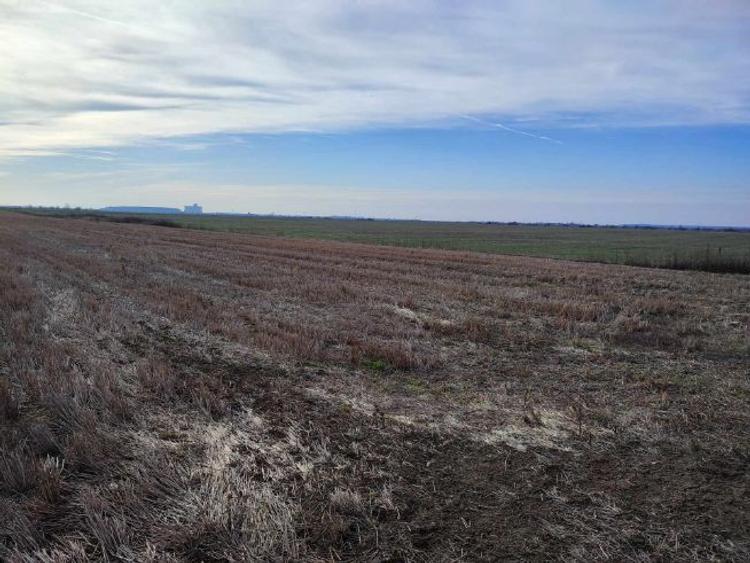 Teren de vanzare 12.070 mp - 3