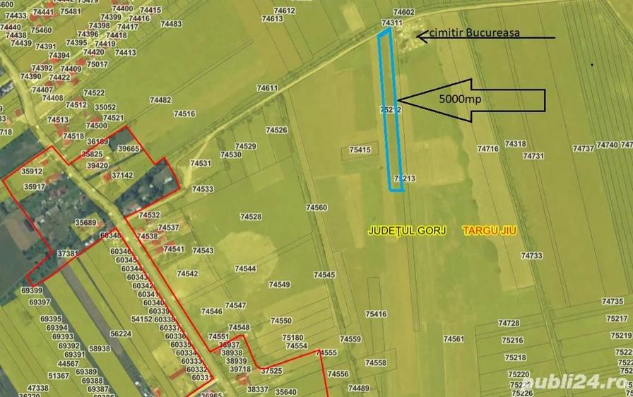 Teren extravilan UAT Tg-Jiu langa cimitir Bucureasa - 1