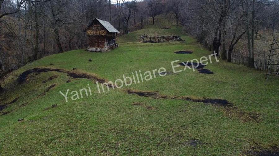 Teren de vanzare in comuna Arefu, jude? Arge?. - 18