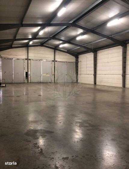 Inchiriere Hala Industriala 450 mp, Bucov - 4,5 euro/mp - 2