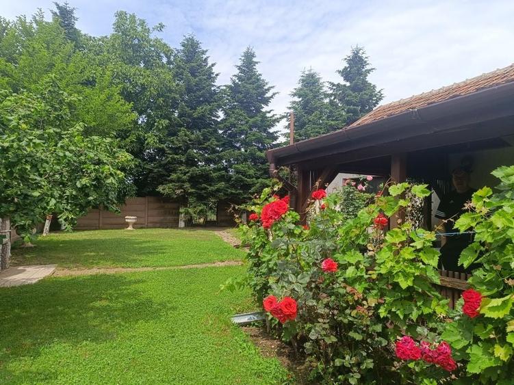 Casa Santaul Mare nr51 - 4