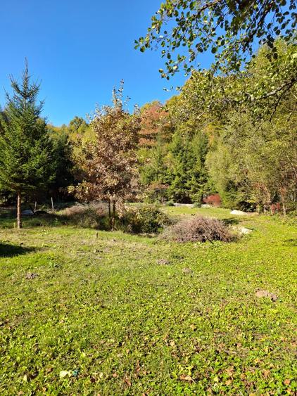 De vânzare casă de vacanță și teren intravilan în Sovata! - 5