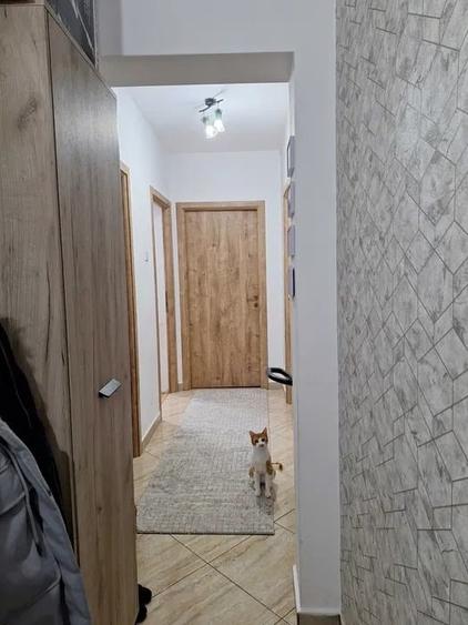 Apartament cu 2 camere, decomandat, zona Zimbru - 4