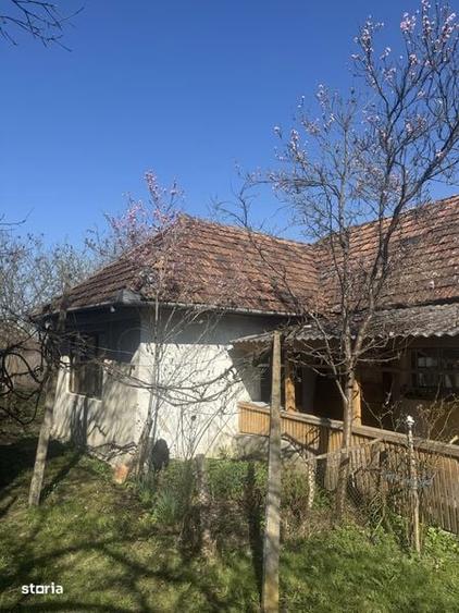 Casa si teren de vanzare la 40 km de Baia Mare - 5