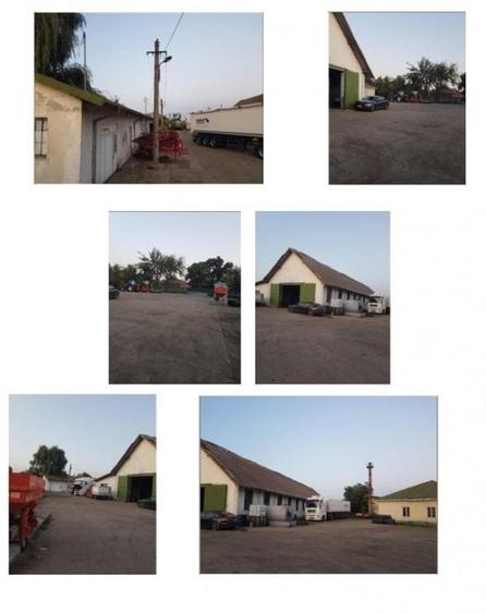 Proprietate multifunctionala cu hale si teren intravilan, Lehliu Gara - 4