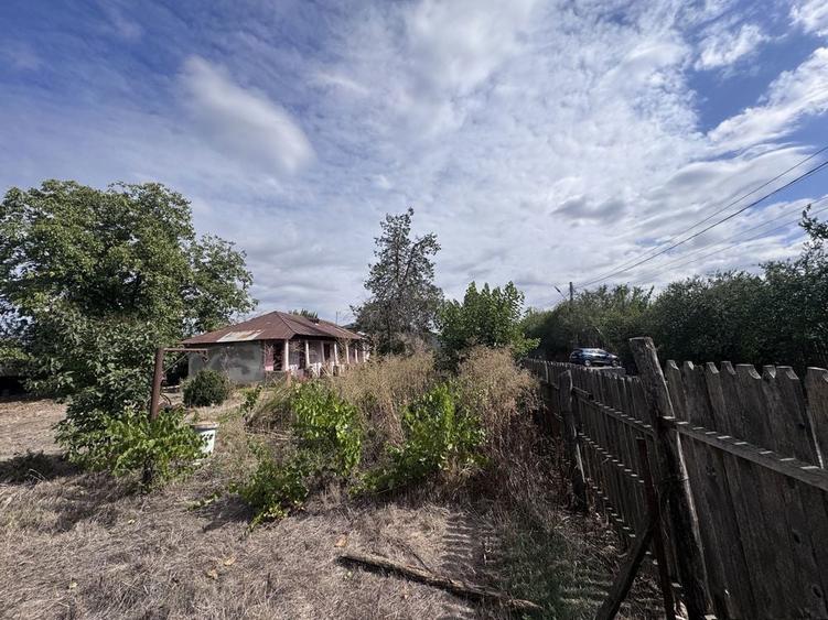 Casa batraneasca de vanzare in com.Ghimpati, Giurgiu (30 min de Buc) - 5