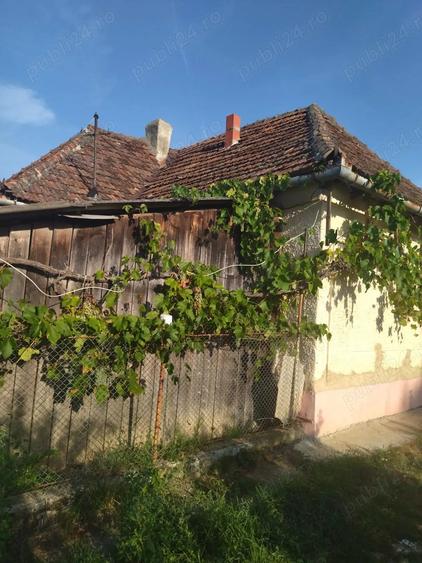 Vand casa locuibila cu vie ?i teren In sat Doh, comuna Maeriste - 4