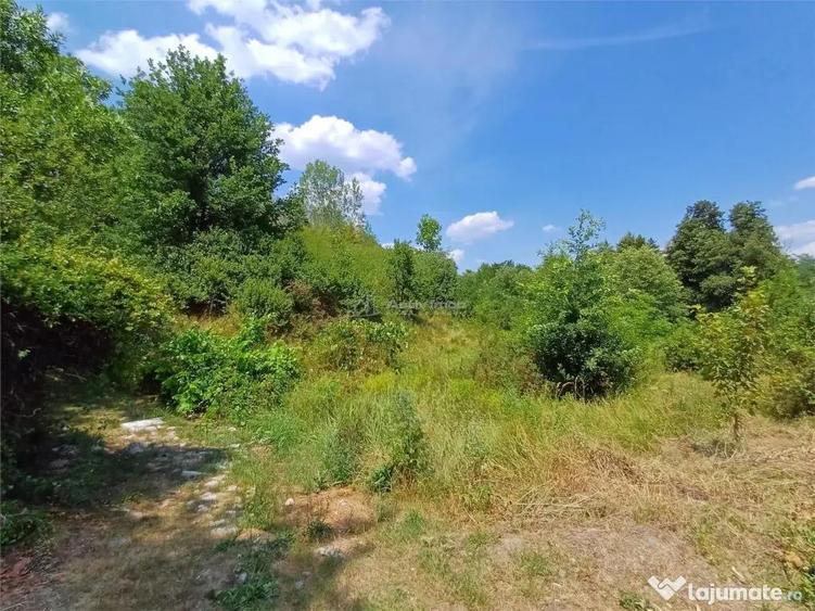 Resita, Terenuri Intravilane 2000 Mp., 20 Euro/Mp., Calea Ca - 12