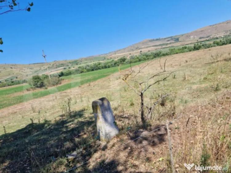 Teren extravilan 5008 mp, in Iara - 2