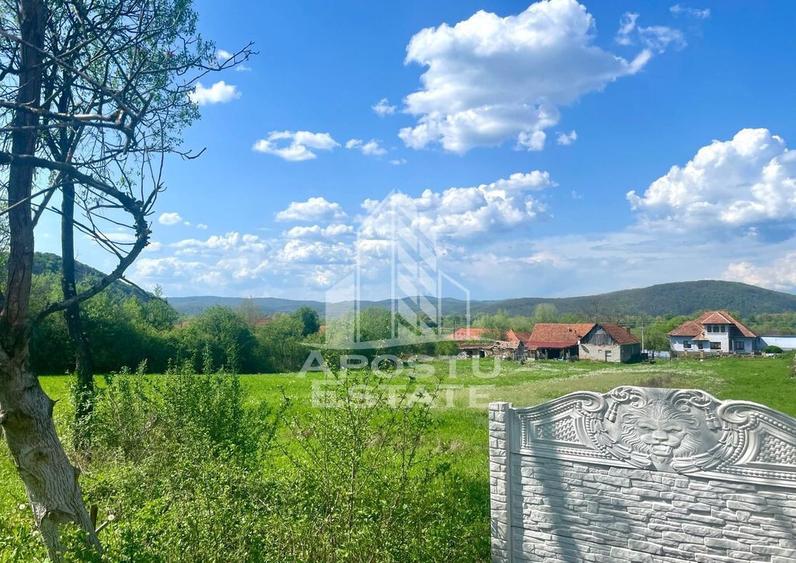 Teren intravilan, partial imprejmuit, eligibil grant- Poj... - 12