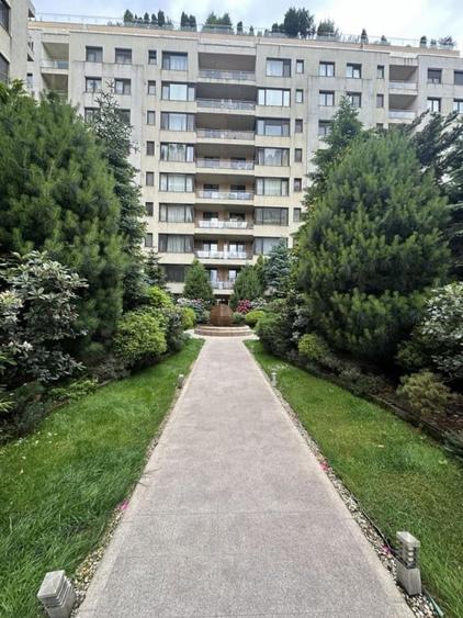 Studio Herastrau- North Area Lake View Zagazului - 9