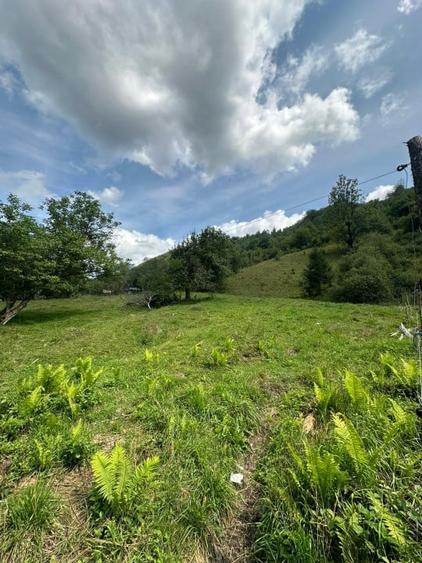 Teren 2 hectare pe Valea Ariesului, zona Scarita-Belioara, pret oportun 2 Eur/mp - 14