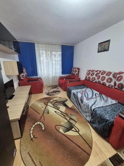 Teiul Doamnei inchiriere garsoniera sectia 7 Politie - 7